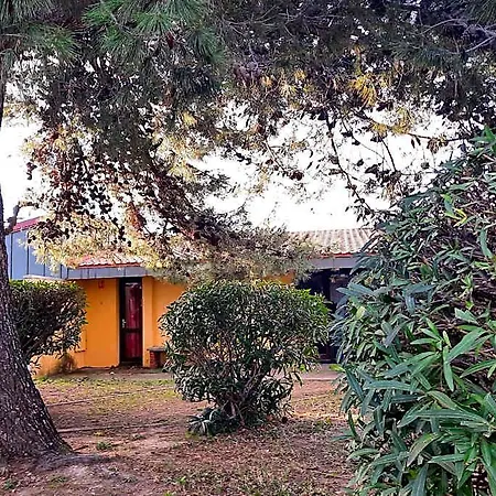 Ulvf Sainte Marie La Hotell *